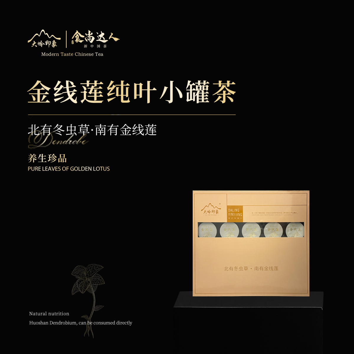 金线莲小罐装